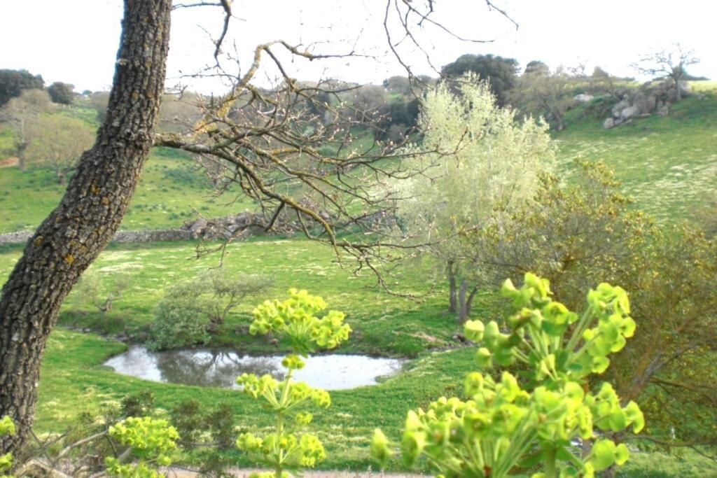 Agriturismo Pentuma Chiaramonti Exterior foto